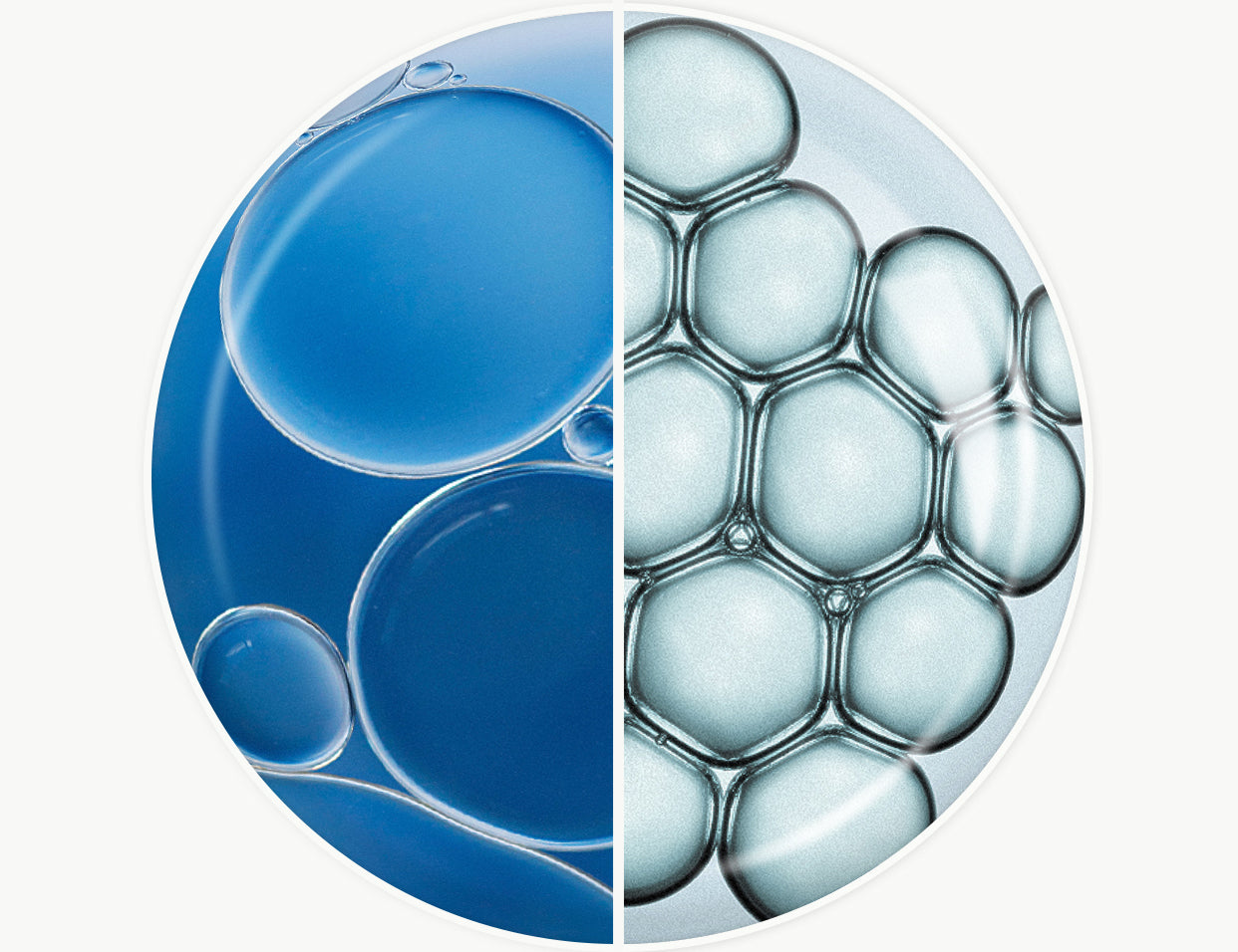 polyglutamic acid vs. hyaluronic acid