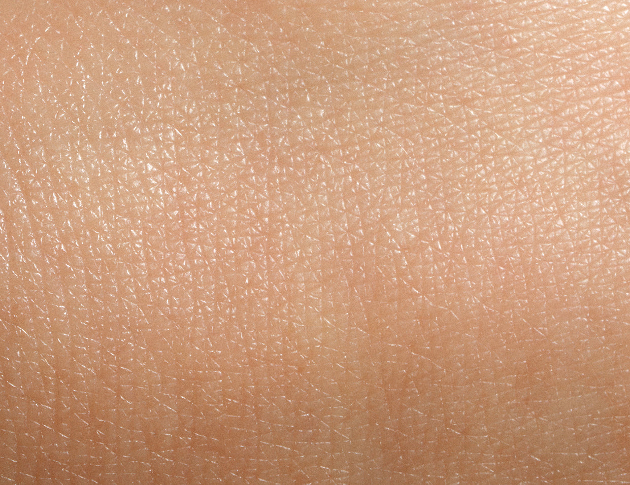 normal skin type